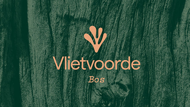 Bos fase 2