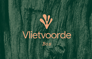 Bos fase 2